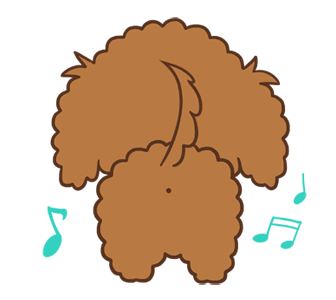 Toy Poodle Choco ( Animated ) รูปที่ 5