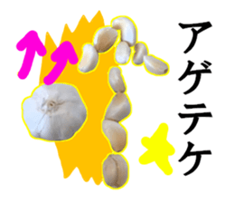 15709085