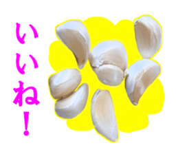 15709098