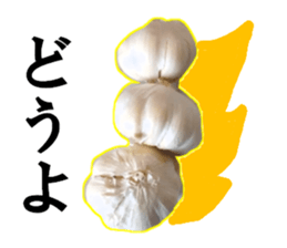 15709105