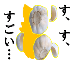 15709106