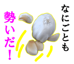 15709113