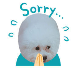 157099899