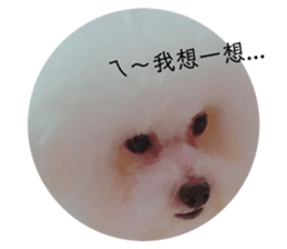 157099900