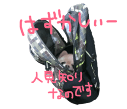 157100322