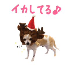157104654
