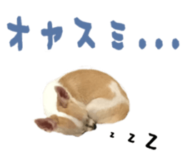 157104666