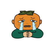 15711141