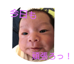 157223809