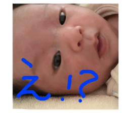 157223811