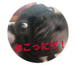 157226621