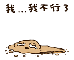 15725592