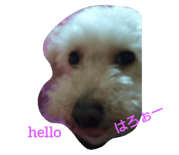 157263670