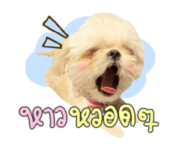 157318718