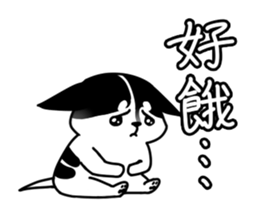 157330807