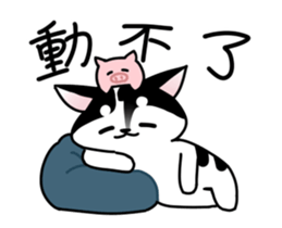 157330812