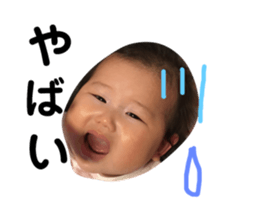 157341620