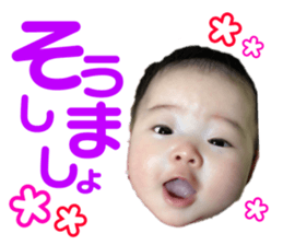 157384548