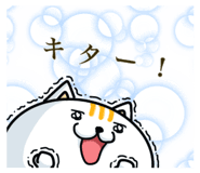 157422791