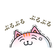 157422798