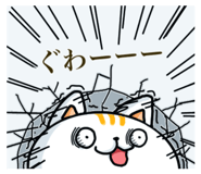 157422815