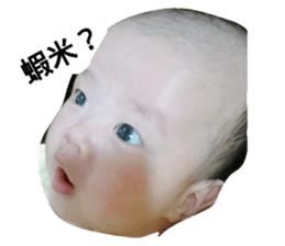 157453995