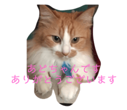 157483640