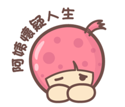 157573304