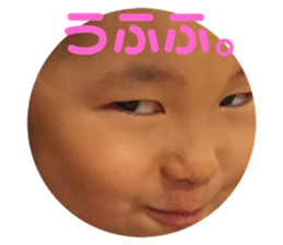 157599527