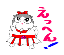 1576066
