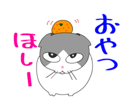 1576091