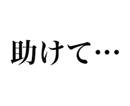 15763237