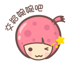 157684817