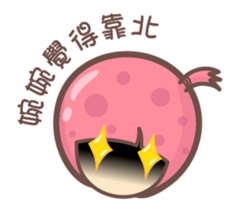 157684843