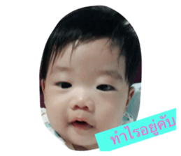 157698031