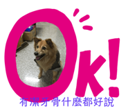 157715819