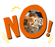 157715821