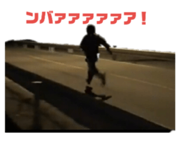 157717735