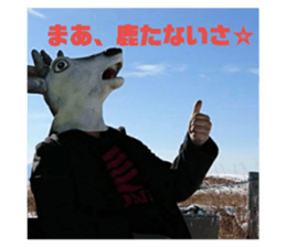 157717737