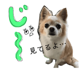 157722752