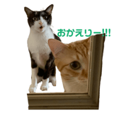 157744657