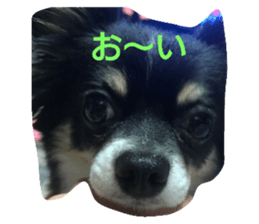 157765145