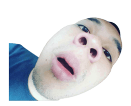 15780159