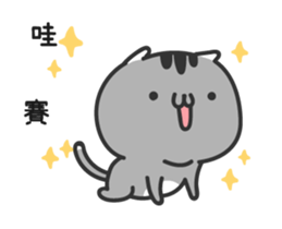 15782305