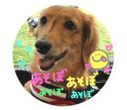 157826064