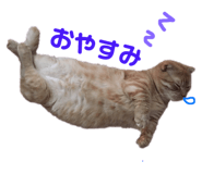 157827264