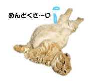 157827269