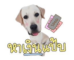 157860133