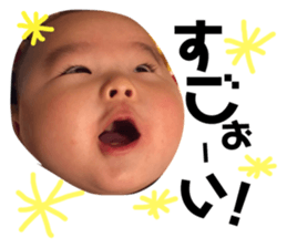 157880523