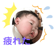 157885372